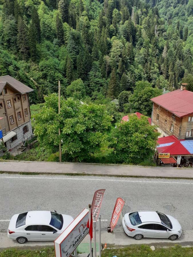 Delux Apart Otel Ayder Yaylasi Buitenkant foto